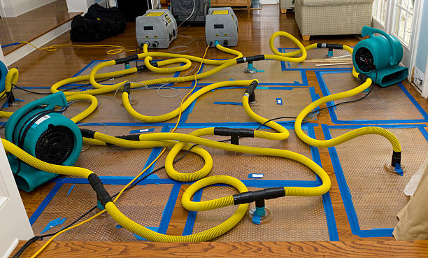 Professional Crawl Space Water Removal technician working in Maspeth, NY